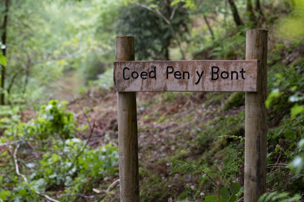 Croeso, Welcome to Coed Pen y Bont