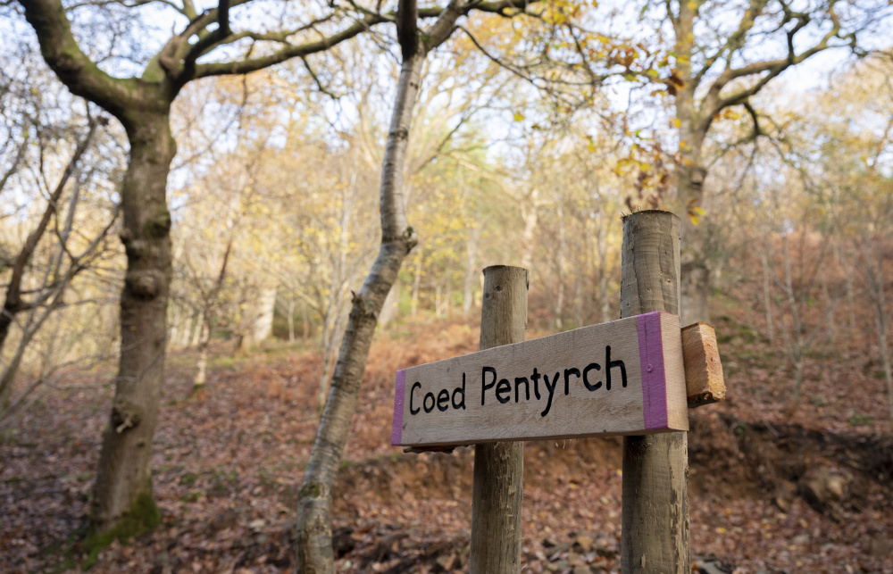 Croeso - welcome to Coed Pentyrch
