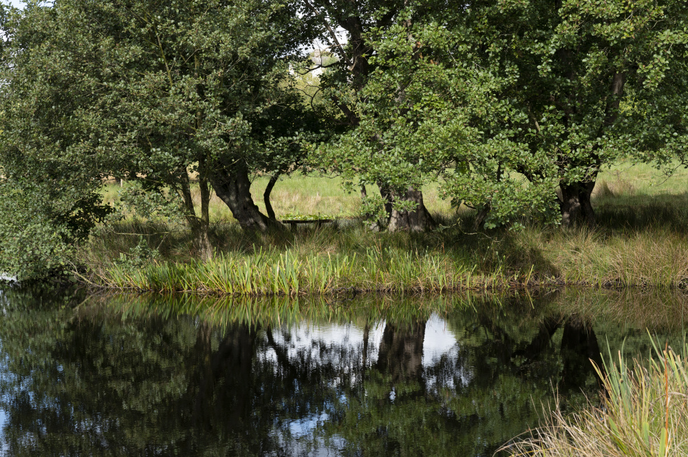 A place to sit and reflect