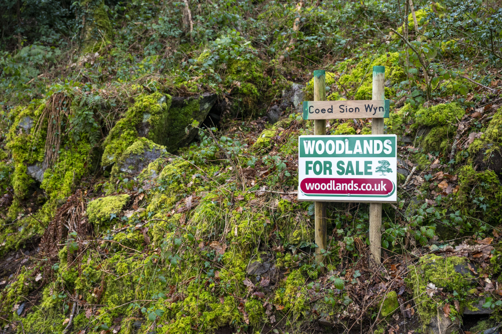Croeso - Welcome to Coed Sion Wyn