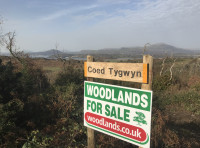 Coed Tygwyn (Tygwyn Wood) - SOLD