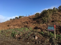 Coed Ty'n-y-Bwlch (Ty'n-y-Bwlch Wood) - SOLD