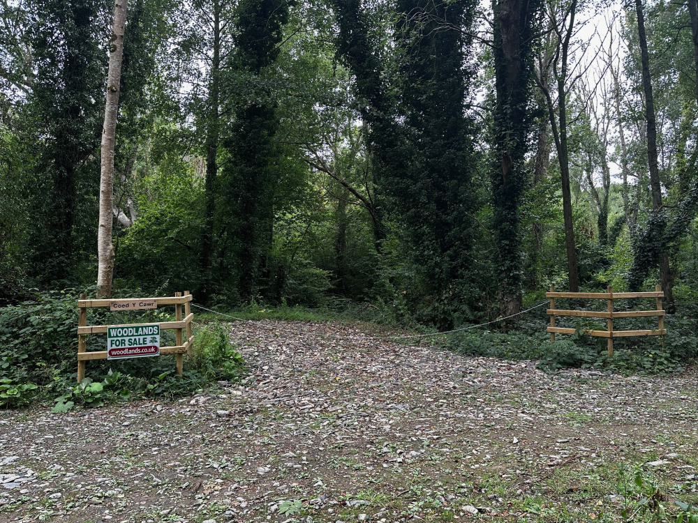 Welcome to Coed Y Cawr!