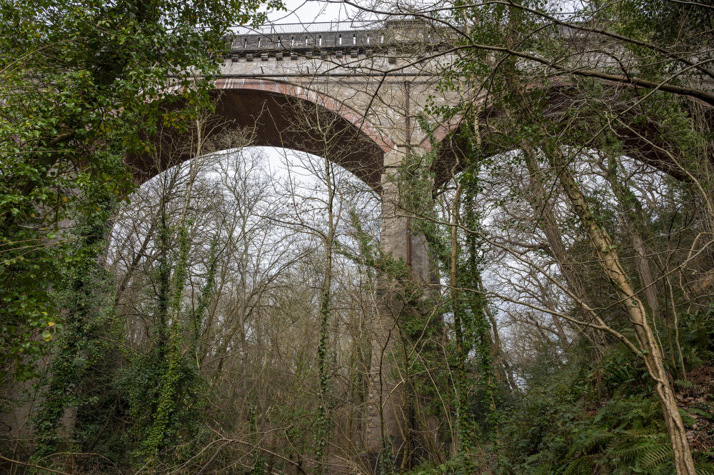 The Bridge of echoes