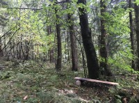 Lletty Wood - SOLD