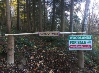 Penthryn Wood - SOLD