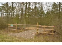 Bingham Wood - SOLD