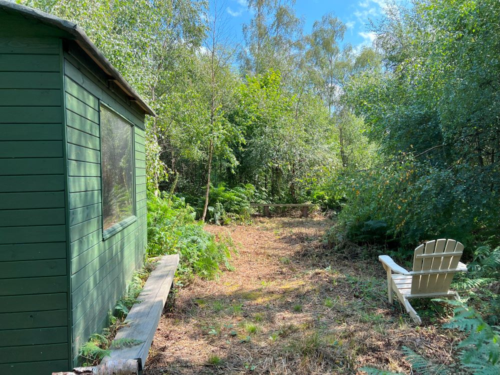 A useful toolshed is situated in a clearing