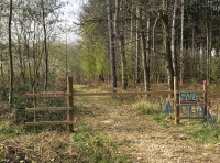 Brinkworth Wood - SOLD