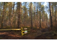 Broad Park Wood - SOLD