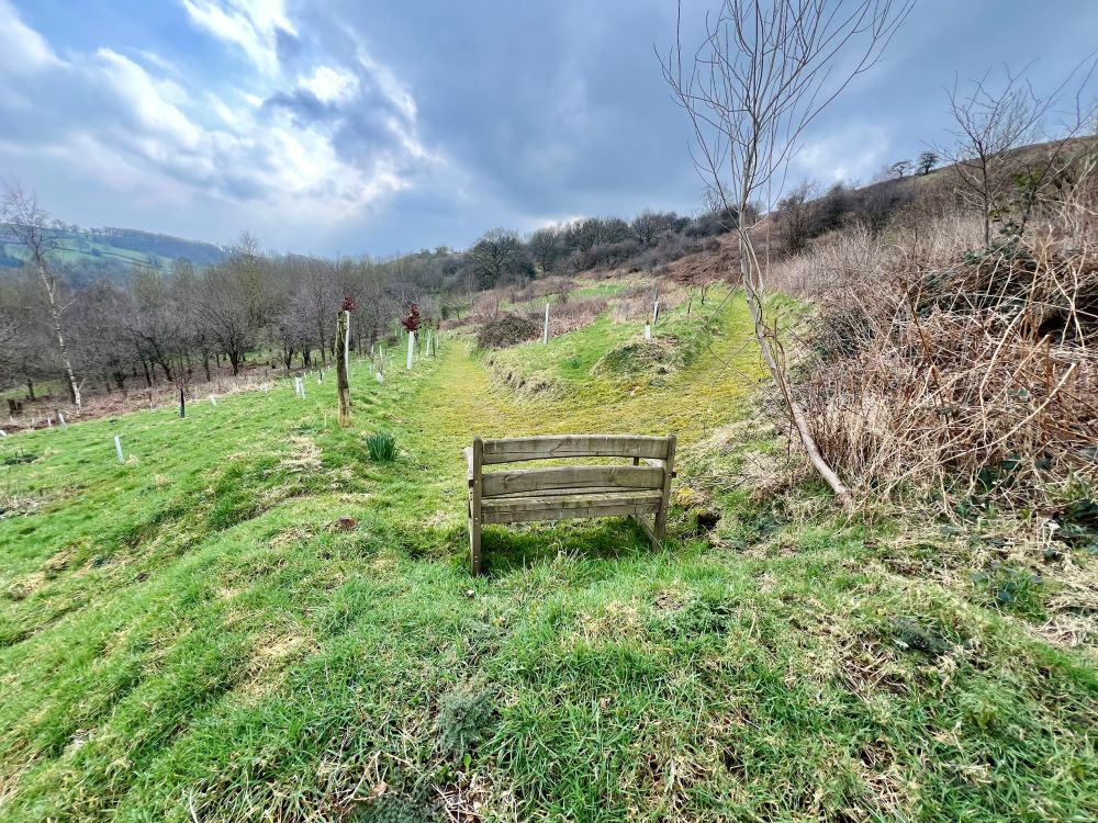 A bench with a view.