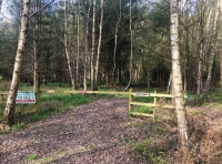 Bull Wood
