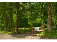 Carpenter Wood