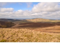 Clough Moor