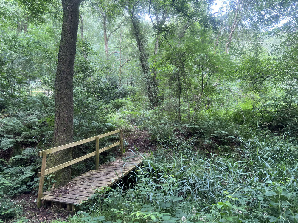 Footbridge giving access across the brook from the ridestop. 