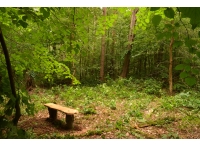 Colston Wood - SOLD