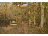 Cropwold Wood
