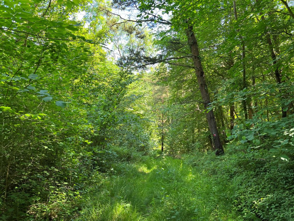 View down the internal track. 