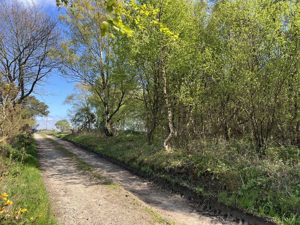 Peat Road, Downy Copse to the right.