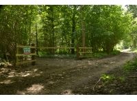 Easby Wood - SOLD