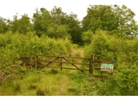 Griff Wood - SOLD