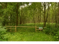 Hoppet Wood