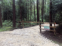 Hunloke Wood