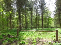 Margaretfield Wood - SOLD