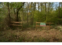 Masson Wood - SOLD