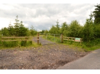 Moor Wood - SOLD