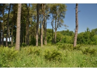 Newhaven Plantation - SOLD