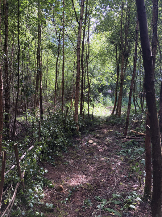 Looking back towards the ride-stop entrance