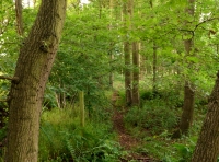 Park Wood - SOLD