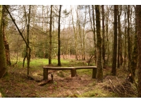 Pease Wood - SOLD