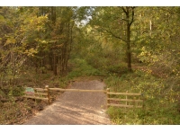 Pilmoor Wood - SOLD