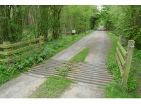 Plumtree Moor Plantation - SOLD