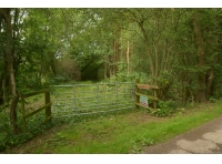 Plumtree Moor Plantation - SOLD