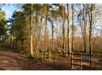 Preston Wood - SOLD
