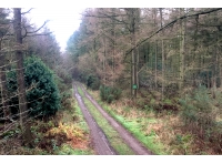 Riggs Wood - SOLD