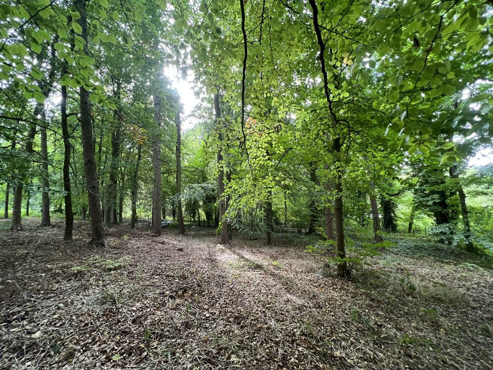 View back towards the entrance gate. 