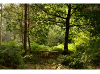 St Lois Wood - SOLD