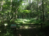 Stell Wood - SOLD