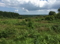 Two Barrows Wood - SOLD