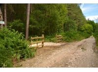 Widdowson Wood - SOLD