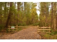 Woodend Plantation - SOLD