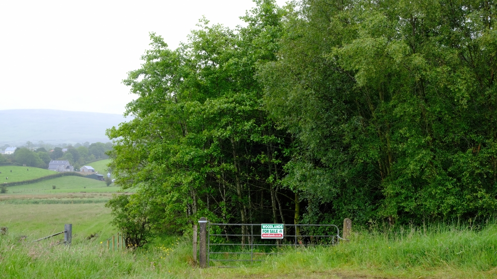 Entrance Gate