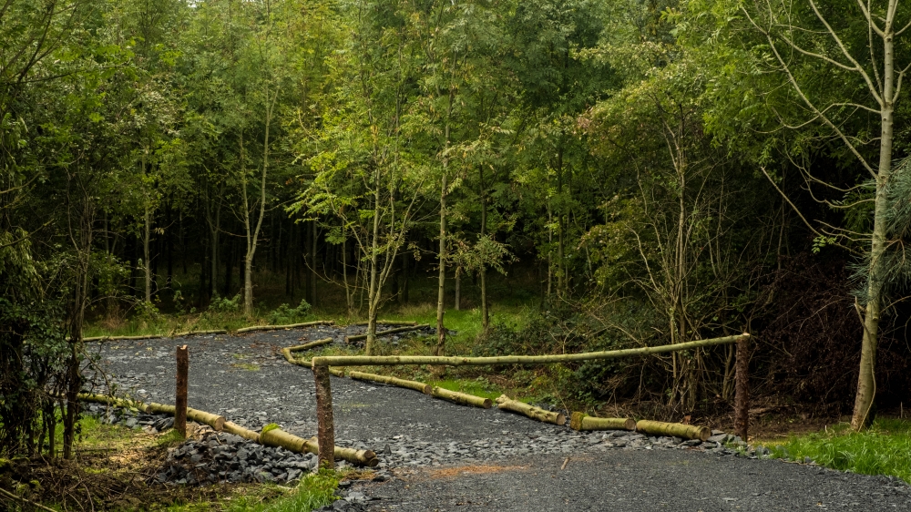 Entrance to Harvestman Wood