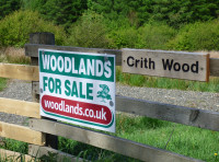 Crith Wood - SOLD