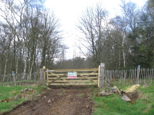 Quiet approach track to entrance gate