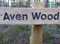 Aven Wood